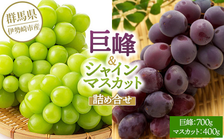 【先行受付】巨峰700g シャインマスカット400g 詰め合わせ  ※2026年8月上旬～9月上旬頃に順次発送予定 ※離島への配送不可