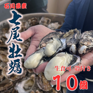 七尾牡蠣10個入り | かき 魚介類 訳あり 生活応援価格 ご家庭用 石川県 能登 復興支援 ※2026年7月～発送