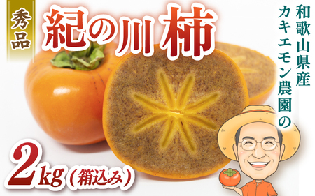 柿 紀の川柿 約2kg 【BX-kkem005A】