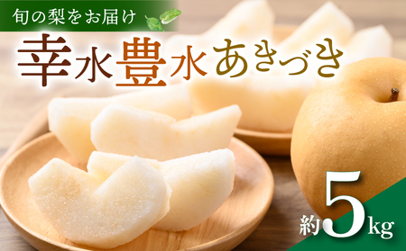 【 数量限定 】 梨 おまかせ 約5kg 【 梨 】