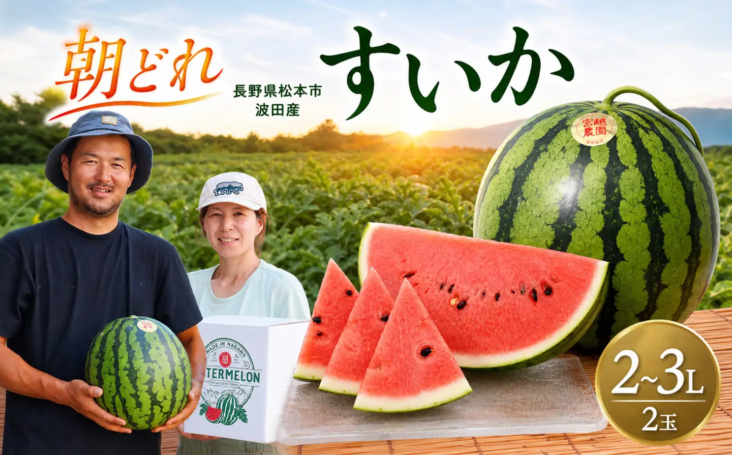 【先行受付】松本市 波田産 すいか 2玉入り（2L～３L,7kg～9kg)×２)