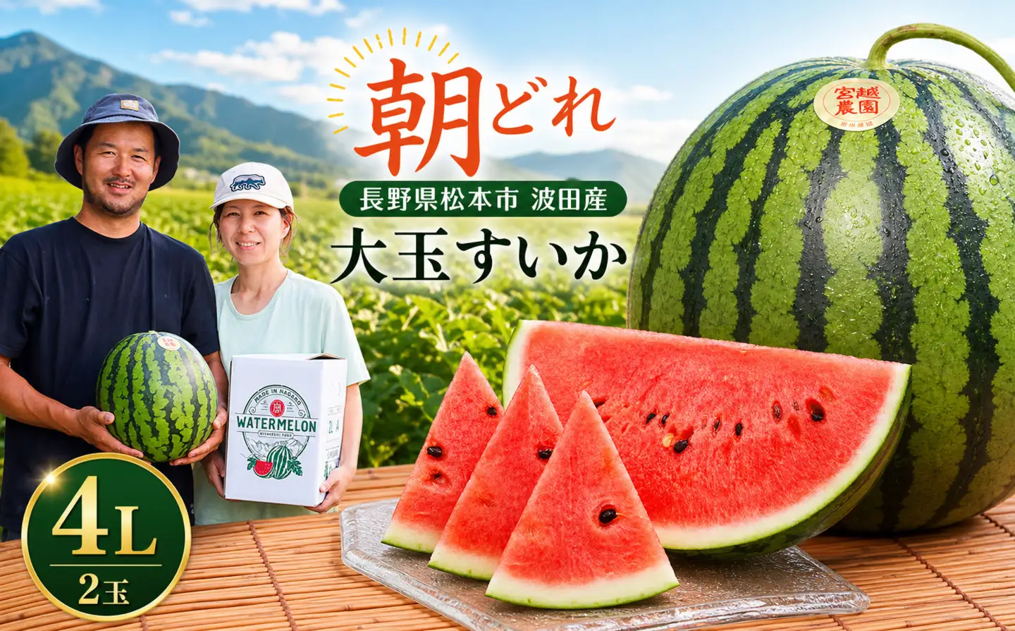 【先行受付】松本市 波田産 大玉すいか 2玉入り（4L 9kg～11kg）×２