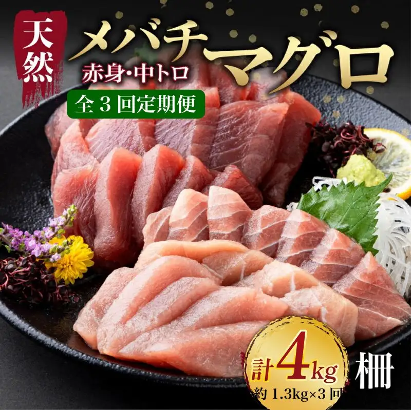 【定期便/計3回】天然メバチマグロ約1.3kg（中トロ・赤身） 【まぐろ】 tk180