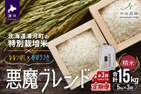 北海道浦河町の特別栽培米「悪魔ブレンド」精米(5kg×1袋)定期便(全3回)[37-1496]