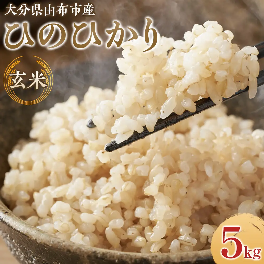＼先行予約／【令和7年度産】大分県由布市産 ひのひかり（玄米）5kg