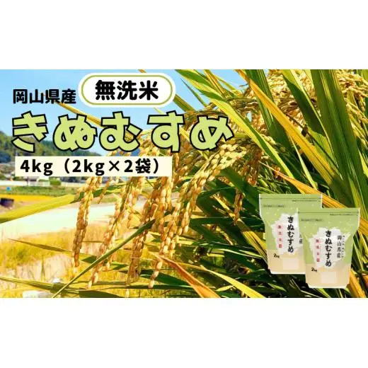 【令和7年産】無洗米 きぬむすめ 4kg 2kg×2袋 岡山県産 【先行予約 2025年11月上旬から順次発送】