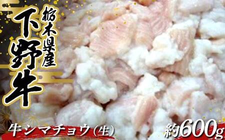 臭みがなくプリプリとした国産牛もつです。 栃木県産 厳選下野牛！ 牛シマチョウ（生）約600g 国産 ブランド牛 牛肉 肉 焼肉 BBQ バーベキュー 食品 冷凍 贈答 贈り物 ギフト プレゼント 自宅 家庭 栃木県 足利市 F7Z-1599