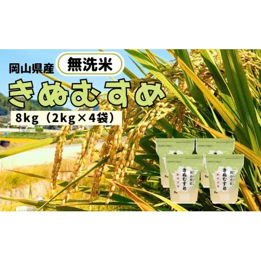 【令和7年産】無洗米 きぬむすめ 8kg 2kg×4袋 岡山県産 【先行予約 2025年11月上旬から順次発送】
