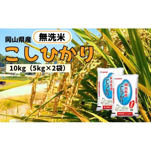 【令和7年産】無洗米 こしひかり 10kg 5kg×2袋 岡山県産 【先行予約 2025年10月上旬から順次発送】