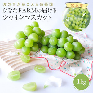 【家庭用】シャインマスカット 1kg ひなたFARM  | シャインマスカット
