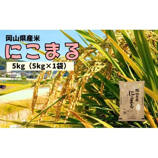 【令和7年産】岡山県産米 にこまる 5kg 5kg×1袋 【先行予約 2025年11月上旬から順次発送】