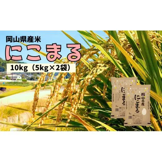 【令和7年産】岡山県産米 にこまる 10kg 5kg×2袋 【先行予約 2025年11月上旬から順次発送】