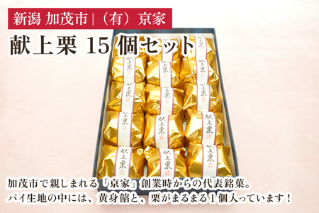 献上栗 15個セット 和菓子 お菓子