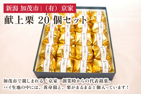 献上栗 20個セット 和菓子 お菓子