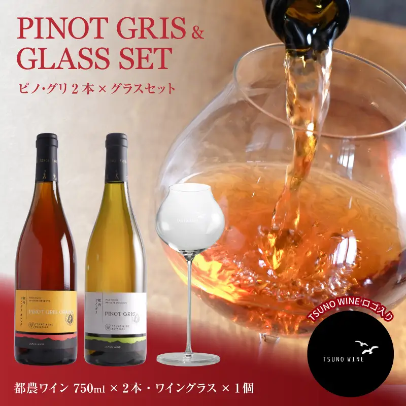 ≪数量限定≫都農ワイン ピノグリ2本&グラスセット 酒 飲料 アルコール 国産 ロナ_T014-0215