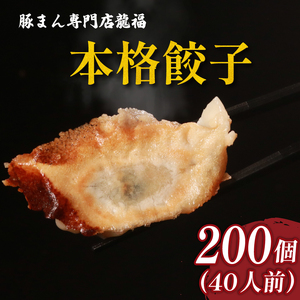 餃子 200個 冷凍 中華料理 餃子