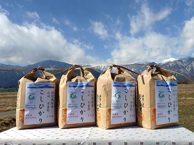 産直センター　特別栽培米コシヒカリ「８㎏」　