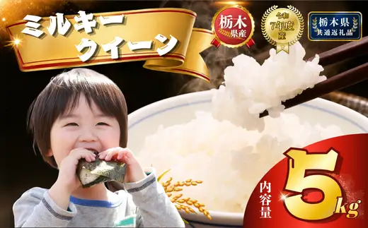 栃木県産 ミルキークイーン 5kg【栃木県共通返礼品】AB | 栃木県 下野市
