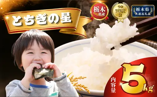 栃木県産 とちぎの星 5kg【栃木県共通返礼品】AB | 栃木県 下野市