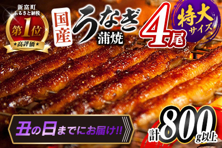 ＜丑の日＞鰻蒲焼 4尾 計800g以上※7/15～7/26までにお届け【C388-800-USHI】