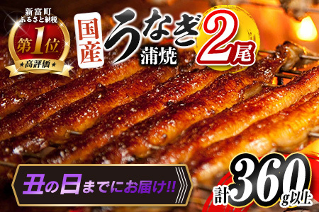 ＜丑の日＞国産うなぎ蒲焼 2尾 計360g以上【B555-USHI】