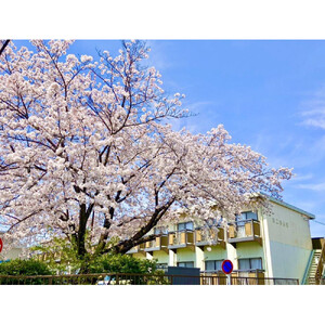 長久手市内での短期入居体験 (1ヶ月)［ 長久手市 短期入居体験 1ヶ月 賃貸 住まい 人気 おすすめ ギフト プレゼント 通販 送料無料 ふるさと納税 ］