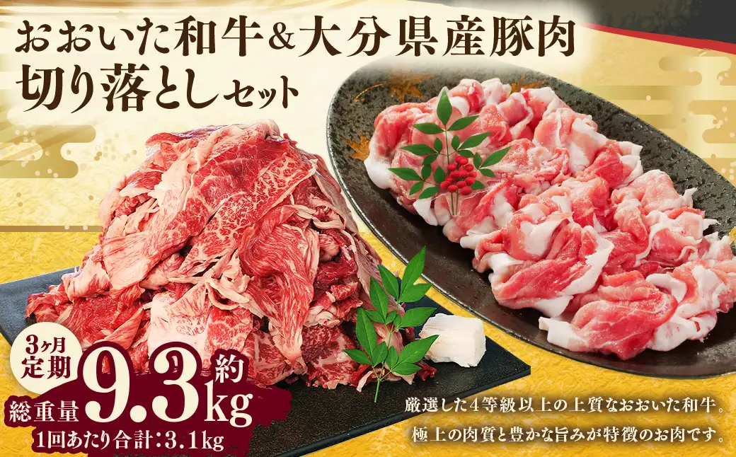 【3ヶ月定期便】 【盛々切り落とし対決！】 おおいた和牛切り落とし 約1.5kg（約500g×3）と大分県産「米の恵み」豚切り落とし 約1.6kg（約400g×4） 計約3.1kg