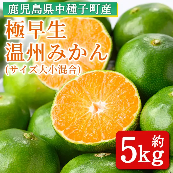 n373 ＜先行予約＞ 極早生 温州みかん 約5kg サイズ大小混合 鹿児島 種子島 蜜柑 ミカン 【提果樹園】