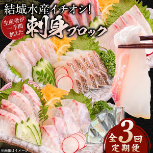 【3ヶ月定期便】(冷凍)結城水産イチオシ！生産者が一手間加えた刺身ブロック N015-YD0240