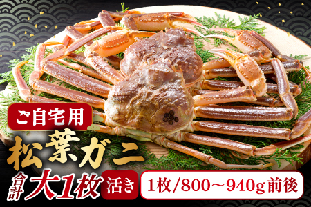 【活き】ご自宅用松葉ガニ　大　１枚【松葉ガニ 松葉がに 松葉蟹 まつばがに かに カニ 冷蔵 チルド ブランド ズワイガニ 活き 自宅用 冬 国産 季節限定 お取り寄せ 鳥取県 日吉津村 日本海】