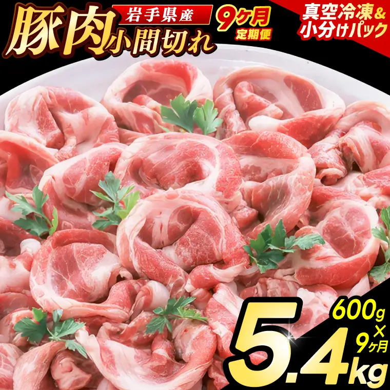 豚こま 【定期便 9ヵ月】岩手県産 豚肉 小間切れ 600g（AB137）小間 こま切れ