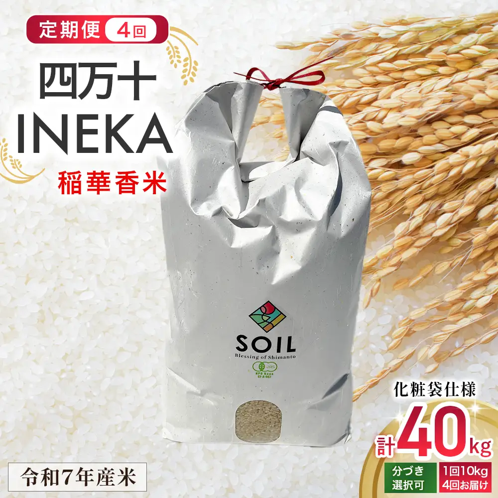 【有機玄米】希少な四万十の香る米 10kg 定期便4回（4か月）四万十INEKA（稲華香米）化粧袋仕様 ／Fsg-Z03 小分け 便利 玄米 高知県 四万十町
