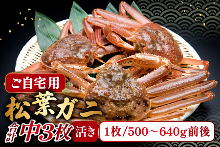 【活き】ご自宅用松葉ガニ　中　3枚【松葉ガニ 松葉がに 松葉蟹 まつばがに かに カニ 冷蔵 チルド ブランド ズワイガニ 活き 自宅用 冬 国産 季節限定 お取り寄せ 鳥取県 日吉津村 日本海】
