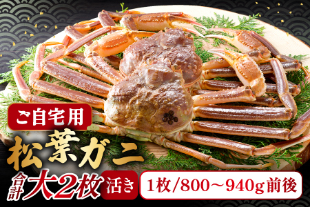 【活き】ご自宅用松葉ガニ　大　２枚【松葉ガニ 松葉がに 松葉蟹 まつばがに かに カニ 冷蔵 チルド ブランド ズワイガニ 活き 自宅用 冬 国産 季節限定 お取り寄せ 鳥取県 日吉津村 日本海】