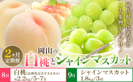 【2か月定期】岡山の 白桃 と シャインマスカット 計4kg【配送不可地域あり】桃 ﾏｽｶｯﾄ