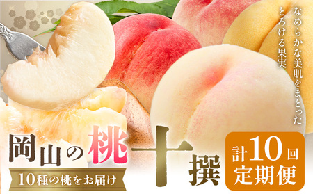 【10回定期便】岡山の桃 十撰 10種 計10kg【配送不可地域あり】桃
