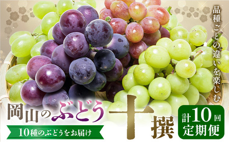 【10回定期便】岡山のぶどう 十撰 10種 計7kg【配送不可地域あり】ｼｬｲﾝﾏｽｶｯﾄ ぶどう