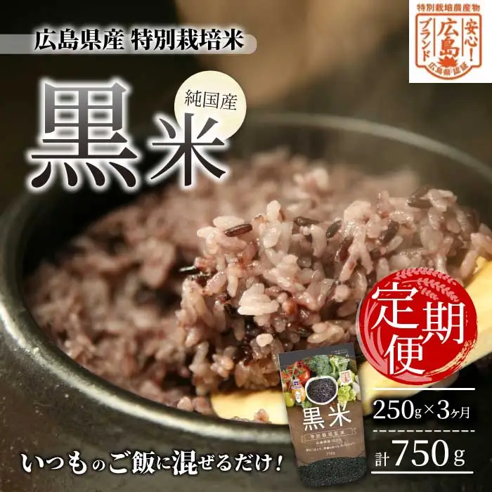 3か月定期便【安心！広島ブランド】広島県産 特別栽培 黒米 250g×１パック×3か月 国産 漆黒のサプリ 美容 健康 サプリメント 食物繊維 ミネラル ご飯 ごはん 227003