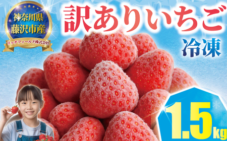 【 冷凍 いちご 】 訳あり ｜  冷凍いちご 1.5kg