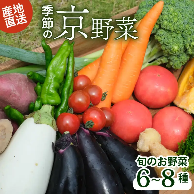 【産地直送】旬のお野菜詰め合わせセット 野菜