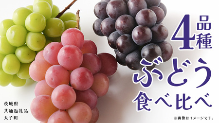 ぶどう ４品種 食べ比べ 【2026年8月上旬発送開始】(茨城県共通返礼品：大子町)