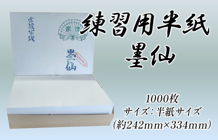 練習用半紙 墨仙