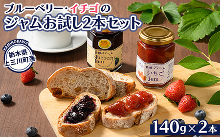 ブルーベリー、イチゴのジャム お試し2本セット　※離島への配送不可