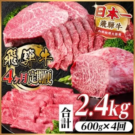 【毎月定期便】飛騨牛 赤身定期便 計2.4kg 焼肉 BBQ すき焼き しゃぶしゃぶ ブロック全4回【配送不可地域：離島】【4072650】