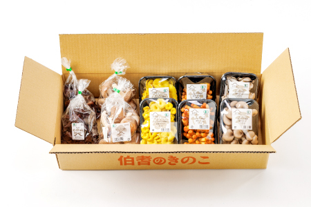 プロが厳選！オーガニックきのこ５種盛り(1.5kg)【しいたけ きくらげ ひらたけ たもぎたけ なめこ 黒あわびたけ やまぶしたけ おまかせ 厳選】