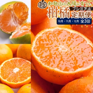 【定期便】厳選 柑橘定期便SS 3回（10～12月）※北海道・沖縄・離島への配送不可※10月・11月・12月に発送
