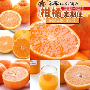 【定期便】家庭用 柑橘定期便 S 6回（奇数月）※北海道・沖縄・離島への配送不可※奇数月に発送