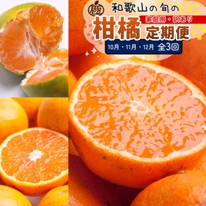 【定期便】家庭用 柑橘定期便 S 3回（10～12月）※北海道・沖縄・離島への配送不可※10月・11月・12月に発送
