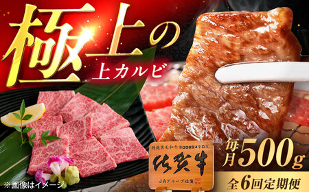 【6回定期便】佐賀牛 上カルビ 焼肉用 500g /MKミート武雄[UEM051] カルビ