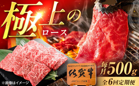【6回定期便】佐賀牛 ロース 焼肉用 500g /MKミート武雄[UEM056] ロース